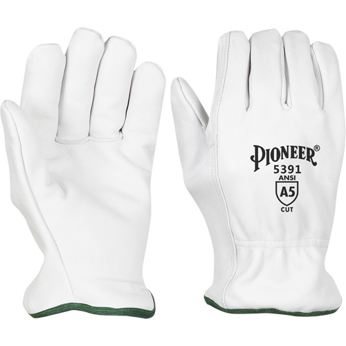 Cut-Resistant Driver's Gloves, Small, Grain Goatskin Palm Auto Electric Service Ltd.