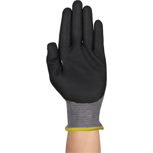 Gants r&eacute;sistants &agrave; la coupe HYFLEX 11-584, Taille 6/T-petit, Calibre 21, Rev&ecirc;tement Mousse de nitrile, Enveloppe en PEHP/Intercept, ASTM ANSI niveau A6/EN 388 niveau F Auto Electric Service Ltd.