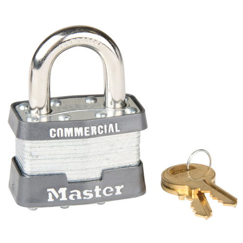 Cadenas &agrave; goupilles, Cl&eacute;s identiques, Acier lamin&eacute;, Largeur de 1-3/4" Auto Electric Service Ltd.