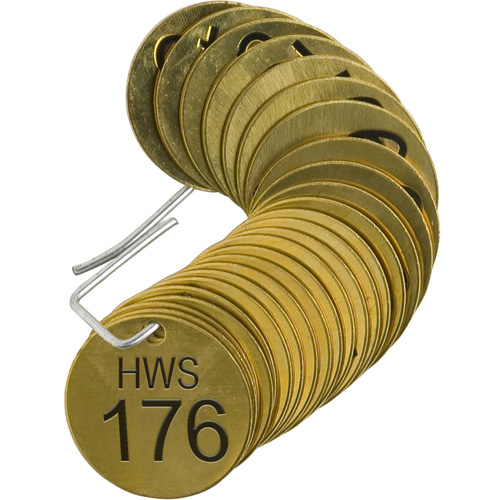 Numbered "HWS" Valve Tags, # 176-200, Brass, 1.5" dia Auto Electric Service Ltd.