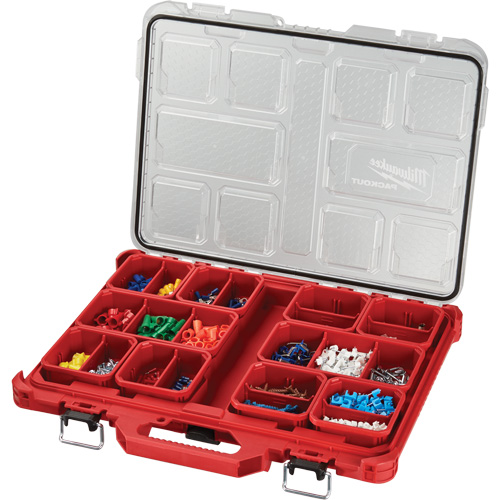 Organisateur profil&eacute; Packout, 19-3/4" x 16-2/5" x 2-1/2", Noir/Rouge Auto Electric Service Ltd.
