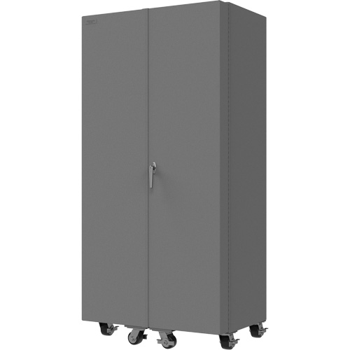 Armoire mobile vide Auto Electric Service Ltd.