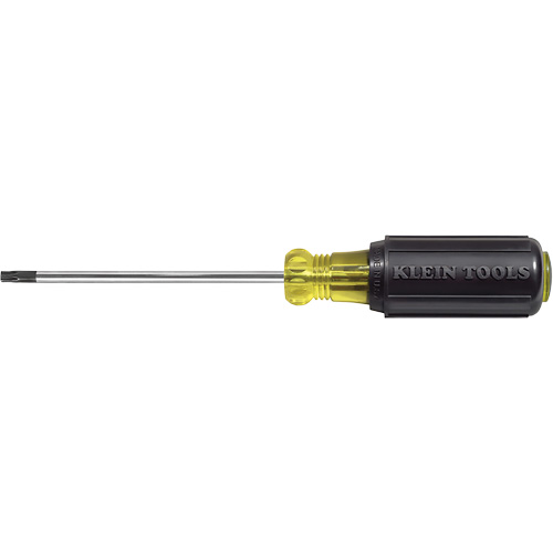 Tournevis Klein a/manche caoutchout&eacute;-Tournevis Torx &agrave; tige ronde Auto Electric Service Ltd.