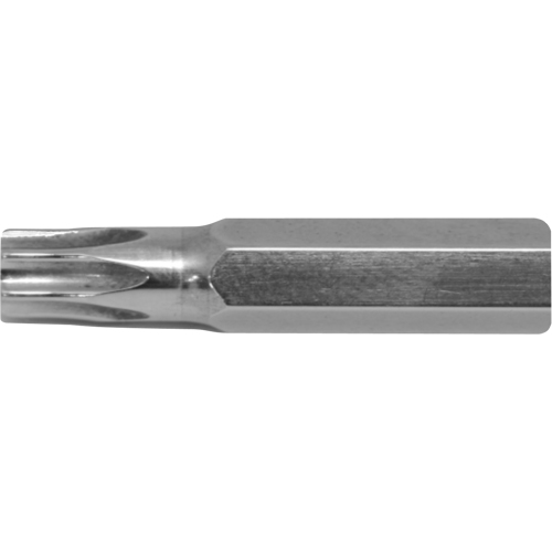 Embout de rechange pour tournevis multi embouts Stubby, Torx, 6, Prise 1/4" Auto Electric Service Ltd.