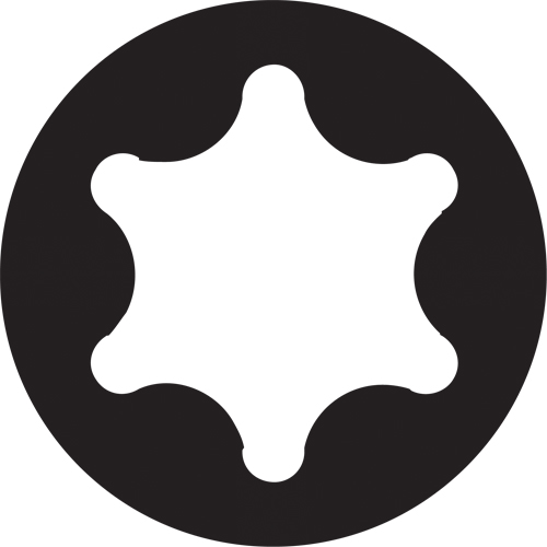 Embout de rechange pour tournevis multi embouts Sixpac Plus, Torx, 10, Prise 1/4" Auto Electric Service Ltd.