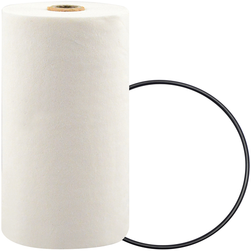 P7247 Spin-On Coolant Filter with BTE Formula Auto Electric Service Ltd.