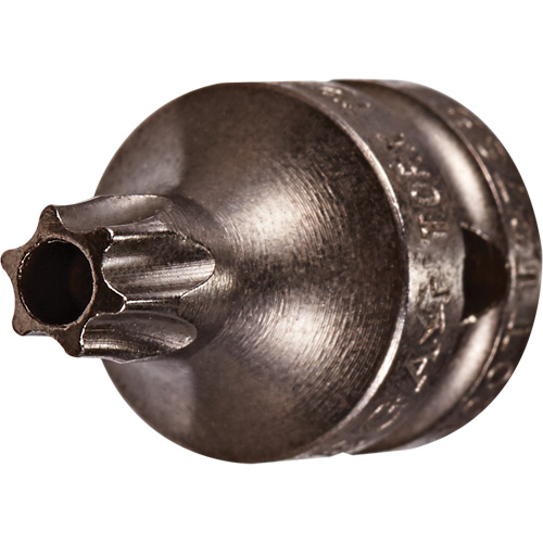Socket Bit, Torx&reg; Tamper, 8 x 3/4" L, 1/4" Drive Auto Electric Service Ltd.