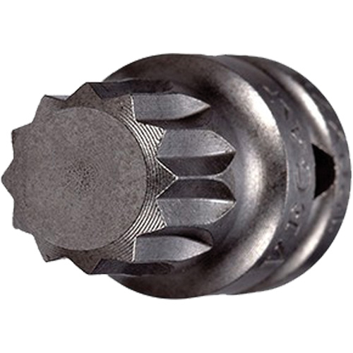 Embout &agrave; ins&eacute;rer, Triple carr&eacute;, 5 x 3/4" lo, Prise 1/4" Auto Electric Service Ltd.
