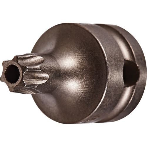 Socket Bit, Torx&reg; Tamper, 25 x 1" L, 3/8" Drive Auto Electric Service Ltd.
