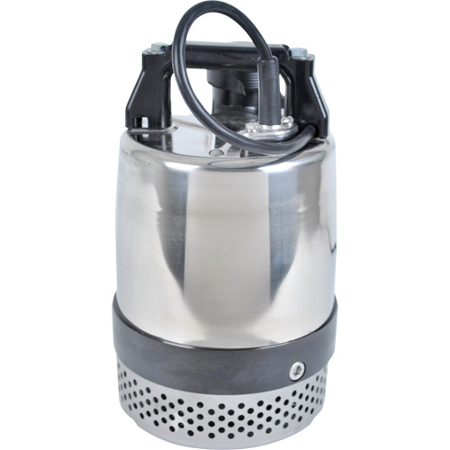 Pompe utilitaire s&eacute;rie FLS/FS, 1 CV, 80 gal./min, 115 V, 10 A Auto Electric Service Ltd.