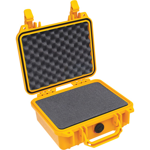 Mallette de protection Protector 1200 avec mousse Auto Electric Service Ltd.