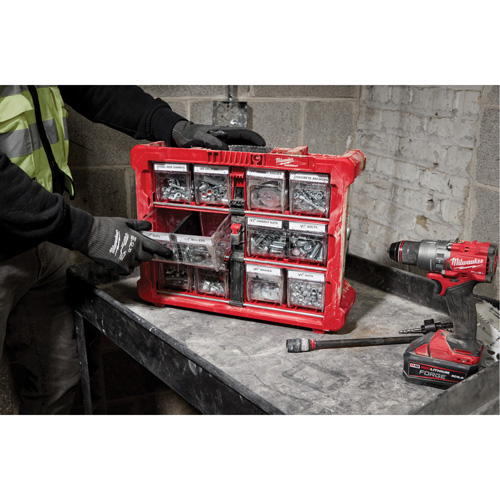 PACKOUT Tilt Bin Organizer, 15-1/5" x 19-7/10" x 6-7/10", Black/Red Auto Electric Service Ltd.