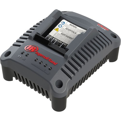 Chargeur de batterie compact IQV20, 20 V, Lithium-ion Auto Electric Service Ltd.