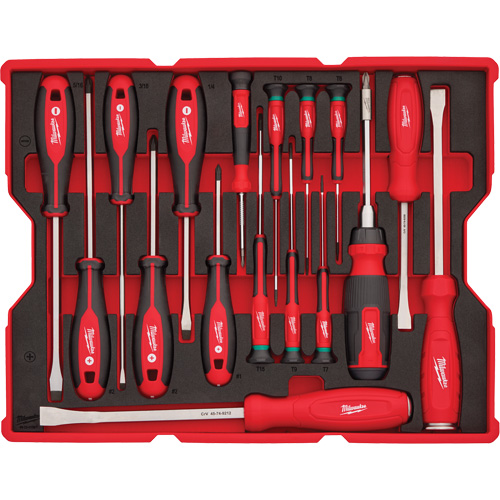 Screwdriver & Pry Bar Set with Tray for PACKOUT Drawers, 17, Magnetic Auto Electric Service Ltd.