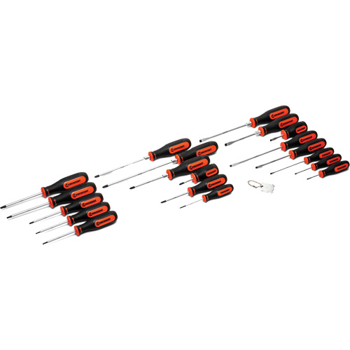 Dual Material Screwdriver Set, 20 Pcs. Auto Electric Service Ltd.