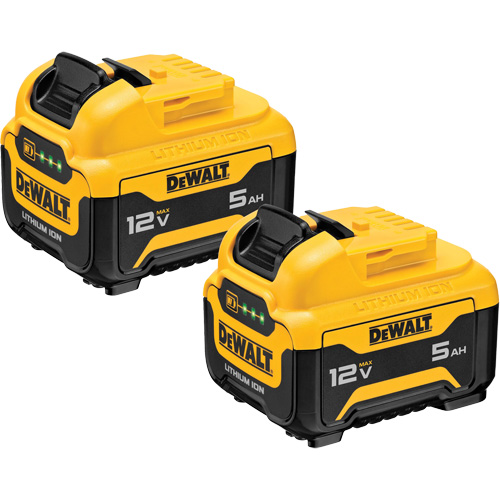 Bloc-piles Max*, Lithium-ion, 12 V, 5 Ah Auto Electric Service Ltd.
