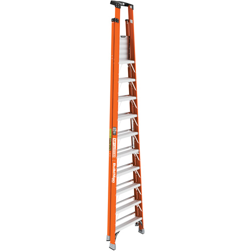 Escabeau avec plateforme Safespace, 10', Cap. De 300 lb Auto Electric Service Ltd.