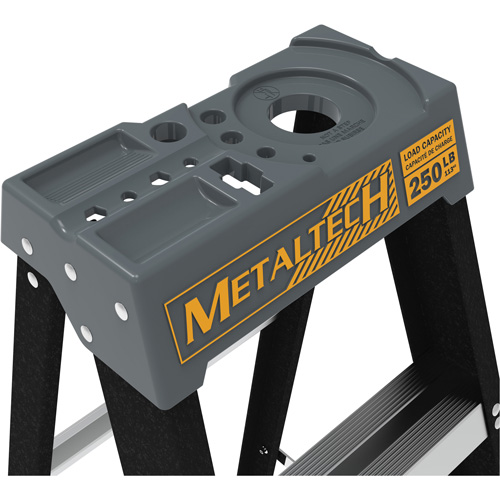 Escabeau avec plateau &agrave; peinture, 10', Fibre de verre, Capacit&eacute; 250 lb, Type 1 Auto Electric Service Ltd.