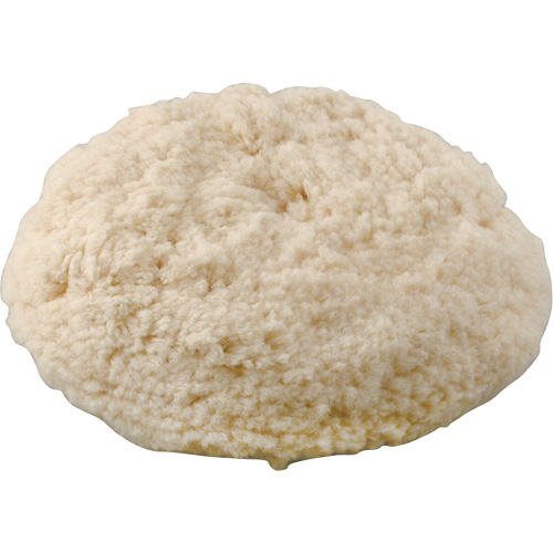 Bonnet &agrave; polir, 7" dia., Laine Auto Electric Service Ltd.