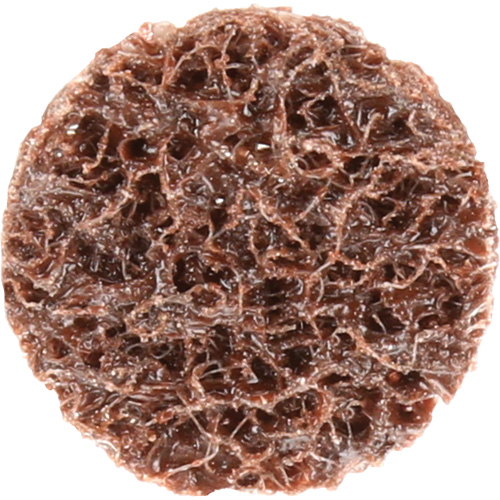 Standard Abrasives Quick-Change Surface Conditioning Disc, 3/4" Dia., Coarse Grit, Aluminum Oxide Auto Electric Service Ltd.