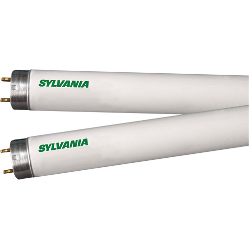 Lampes fluorescentes, 32 W, T8, 4100 K, Longueur de 48" Auto Electric Service Ltd.