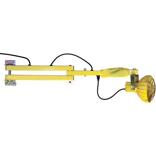 Lampes avec bras flexible pour quais, Ampoule Incandescente, Bras 40" Auto Electric Service Ltd.