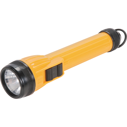 Lampe de poche AFL100, DEL, 28 lumens, Piles AA Auto Electric Service Ltd.