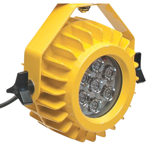 Lampe robuste DEL pour les quais - t&ecirc;te seulement Auto Electric Service Ltd.