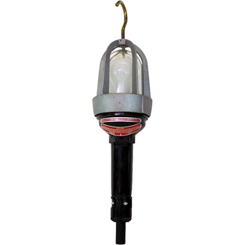 Baladeuses pour emplacements dangereux, DEL, 20 W, 2400 Lumens Auto Electric Service Ltd.
