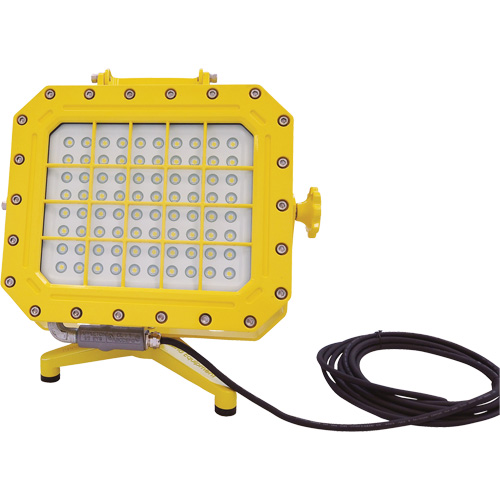 Explosion Proof Floodlight with Floor Stand, LED, 40 W, 5600 Lumens, Aluminum Housing Auto Electric Service Ltd.