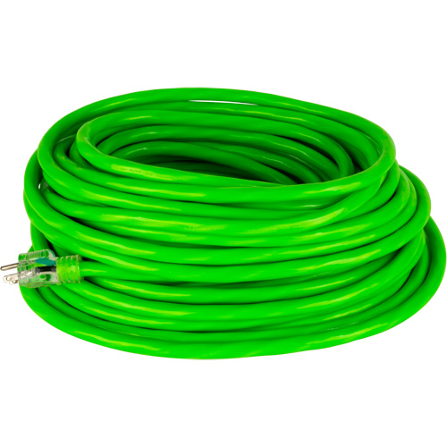 Industrial Extension Cord, All-Weather, SJTW, 10/3 AWG, 15 A, 50' Auto Electric Service Ltd.