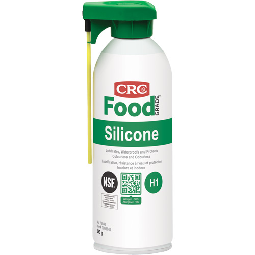 Lubrifiants au silicone pour la transformation alimentaire, Canette a&eacute;rosol Auto Electric Service Ltd.