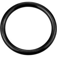 Black Replacement O-Ring, Plain Auto Electric Service Ltd.