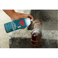 3&reg; Premier Rust Inhibitor, Aerosol Can Auto Electric Service Ltd.