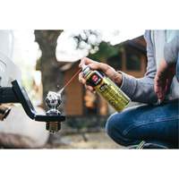 3-in-One&reg; Trailer Hitch Gel Lube, Aerosol Can Auto Electric Service Ltd.