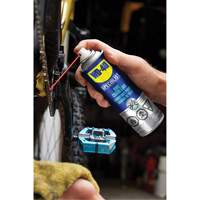 Bike Chain Lubricant, Aerosol Can Auto Electric Service Ltd.