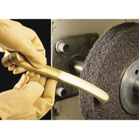 Meules de finition Scotch-Brite, 8" x 1", Arbre de 3" Auto Electric Service Ltd.