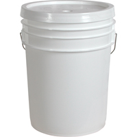 Seaux d'usage g&eacute;n&eacute;ral, Plastique, 20 L Auto Electric Service Ltd.