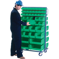 Double-Sided Mobile Bin Rack, Double-sided, 96 bins, 36" W x 24" D x 63" H Auto Electric Service Ltd.