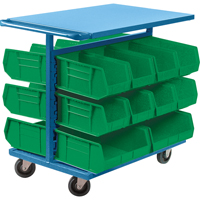 Bin Cart with Bins, Double-sided, 20 bins, 24" W x 38-1/2" D x 36-1/2" H Auto Electric Service Ltd.