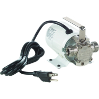 Pompes de transfert &agrave; amorçage automatique, non submersibles en laiton plaque - Pompe seulement, 115 V, 360 gal./h, 1/10 CV Auto Electric Service Ltd.