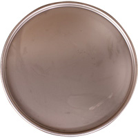 Steel Drum Lid Auto Electric Service Ltd.