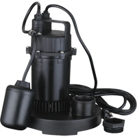 Pompe de puisard submersible thermoplastique, 2560 gal./h, 115 V, 4,6 A, 1/3 CV Auto Electric Service Ltd.