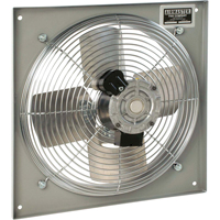 All Purpose Wall Fans, Commercial, 2 Speed, 18" Diameter Auto Electric Service Ltd.