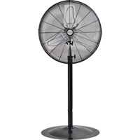 Non-Oscillating Pedestal Fan, Heavy-Duty, 2 Speed, 24" Diameter Auto Electric Service Ltd.