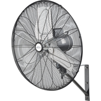 Oscillating Wall Fan, Industrial, 2 Speed, 24" Diameter Auto Electric Service Ltd.