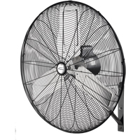 Non-Oscillating Wall Fan, Industrial, 2 Speed, 30" Diameter Auto Electric Service Ltd.