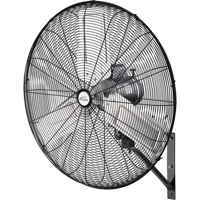 Oscillating Wall Fan, Industrial, 2 Speed, 30" Diameter Auto Electric Service Ltd.