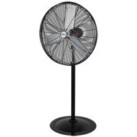 Oscillating Pedestal Fan, Heavy-Duty, 3 Speed, 30" Diameter Auto Electric Service Ltd.