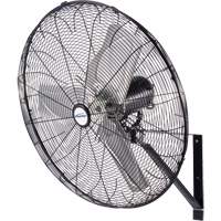 Waterproof Motor Misting & Oscillating Pedestal Fan, Industrial, 3 Speed, 30" Diameter Auto Electric Service Ltd.